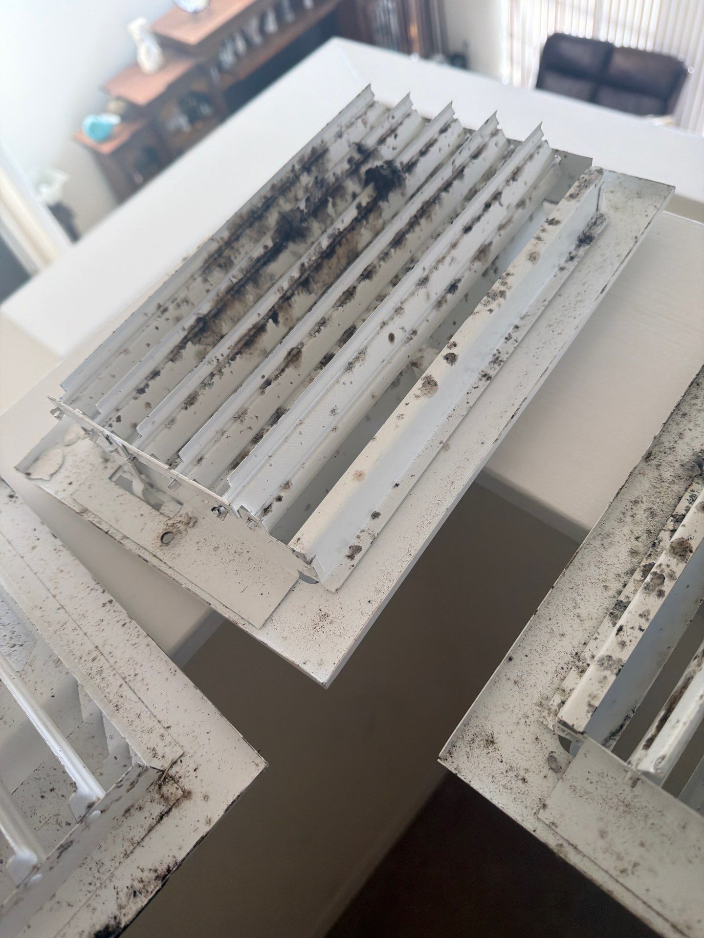 Air Duct Cleaning Encapsulation in Orlando by Hygienic Air, Inc