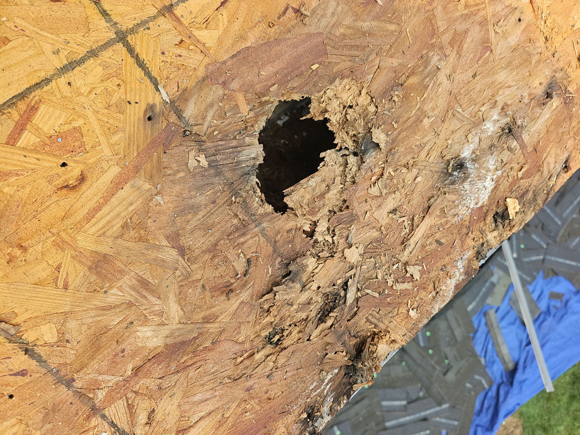 Roof Replacement - Asphalt and EPDM, Soffit, Gutters, Pine  by Winchester Roofing