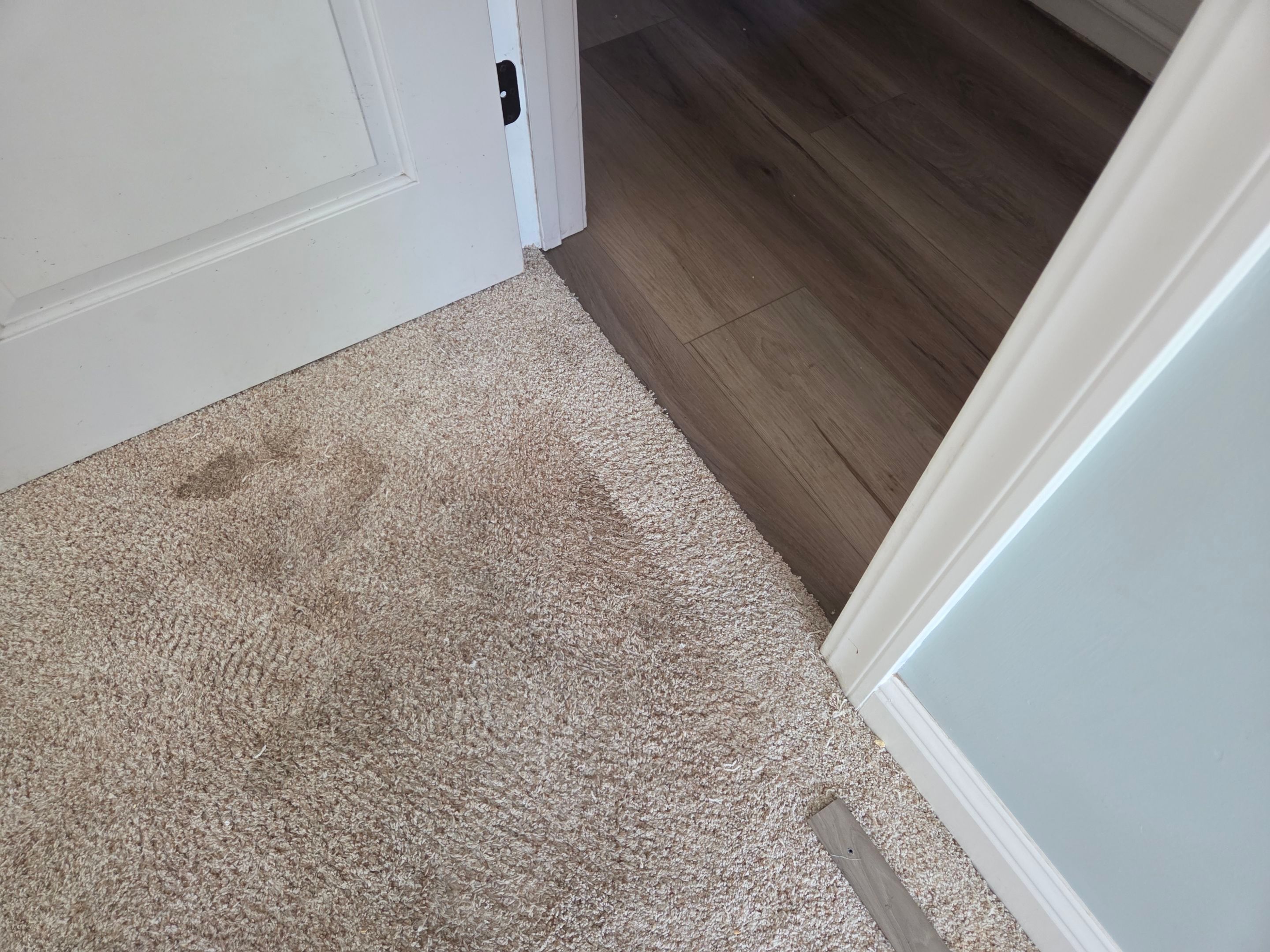 Carpet Repair in Shingle Springs by Ardent Carpet Restore LLC
