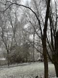 Tree Removal using Tree Removal by Mike Jones & Sons Tree Service LLC 