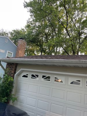 Latest photograph of the Turtle Shell installation in Naperville, IL 60540