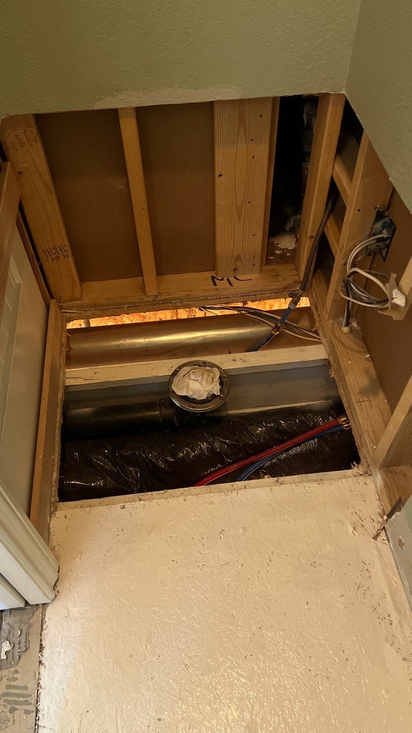 Mold Remediation by Accountable Home Services