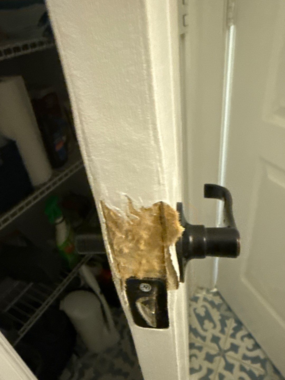 Bathroom and Crawlspace Water Damage and Mold by Healthy Home Solutions