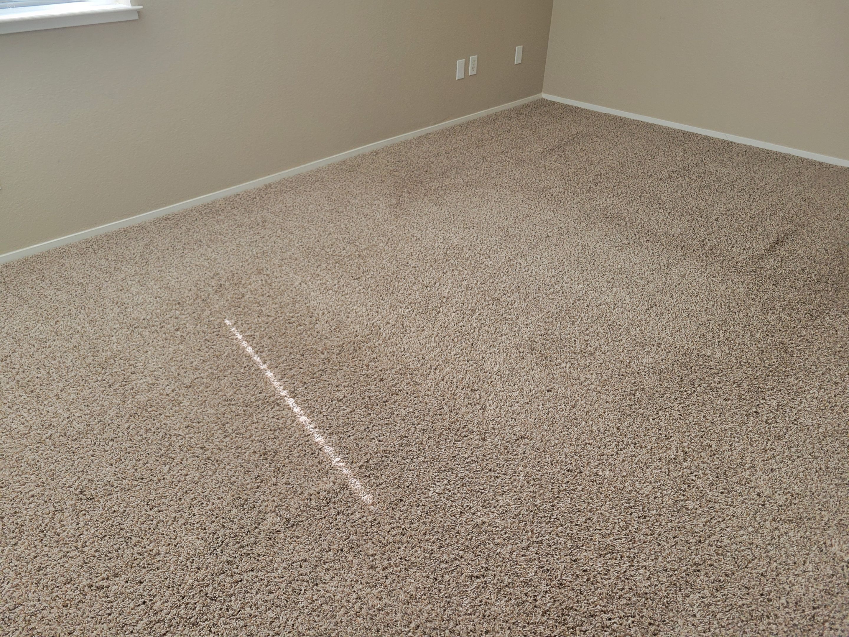 Condo, Move-out Carpet Cleaning by Ardent Carpet Restore LLC