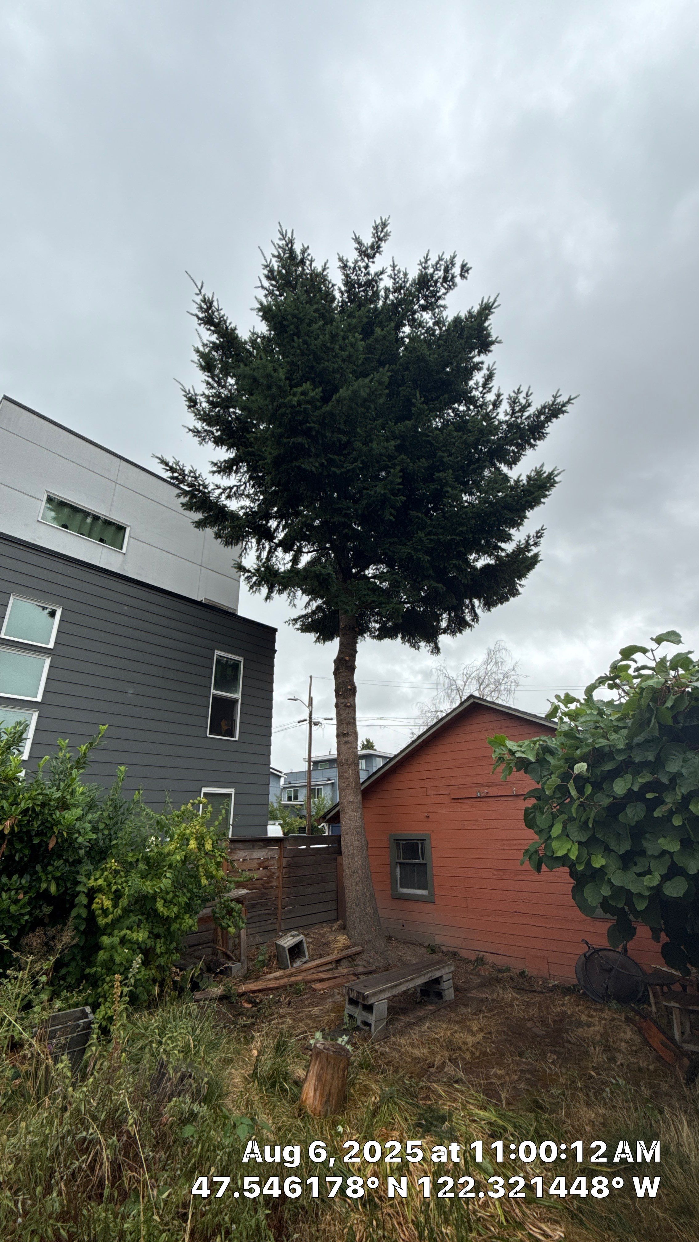 ποΈ Tree Trimming for Property Manager Success ποΈ by Sound Tree Care LLC