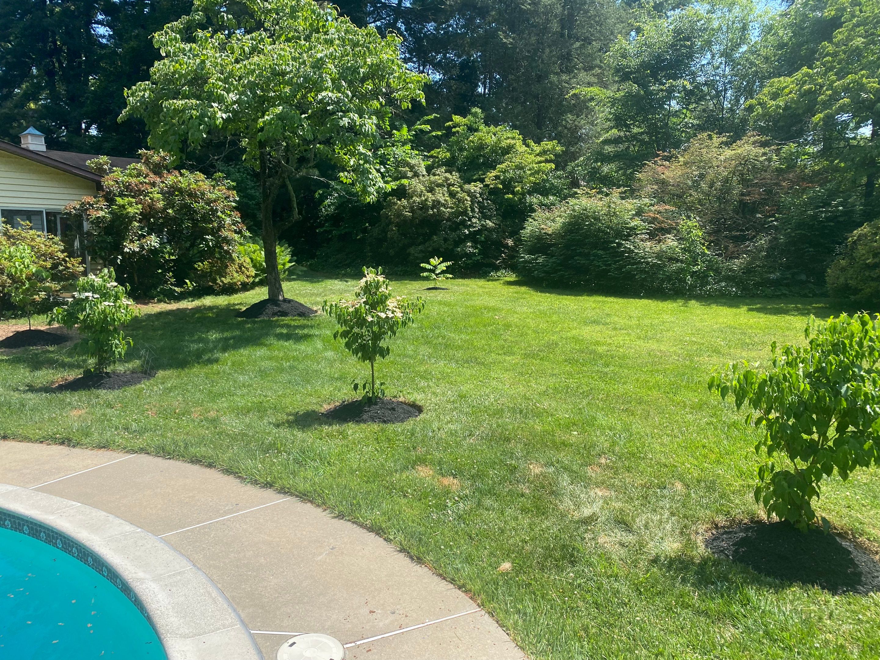 Landscape cleanup & drainage by The Smet Companies, LLC