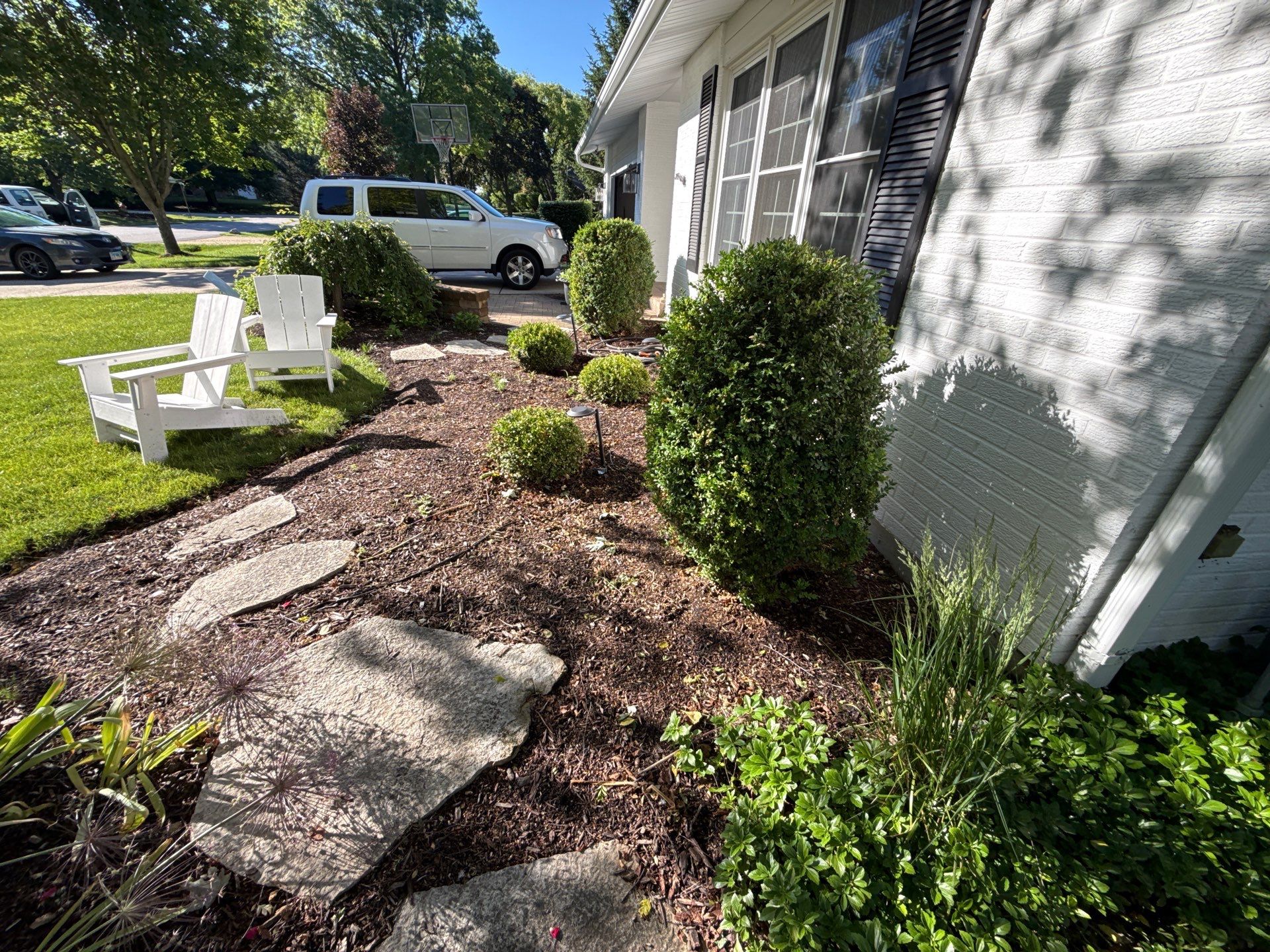 Lesley D. - Arlington Heights, IL by A&N 