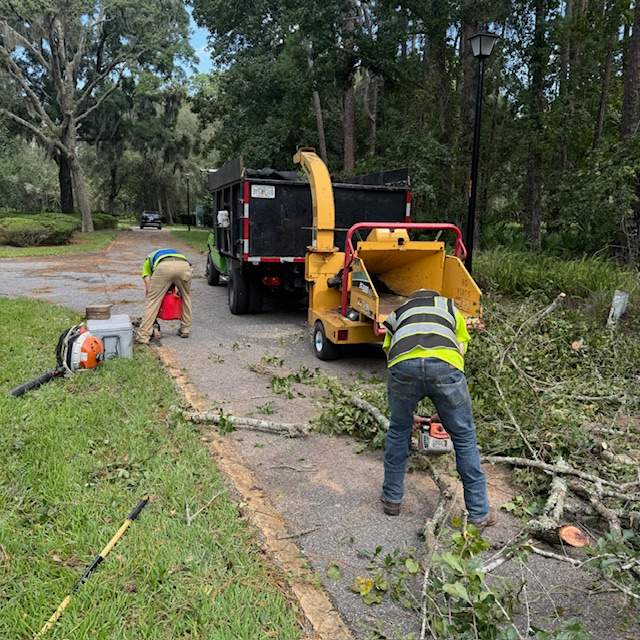 Deerwood Community | Contract Tree Work by ProGreen Services