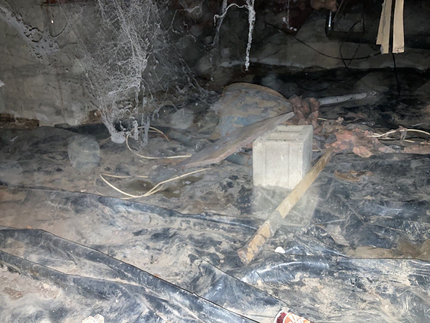 Crawl Space Cleanup  by Accountable Home Services