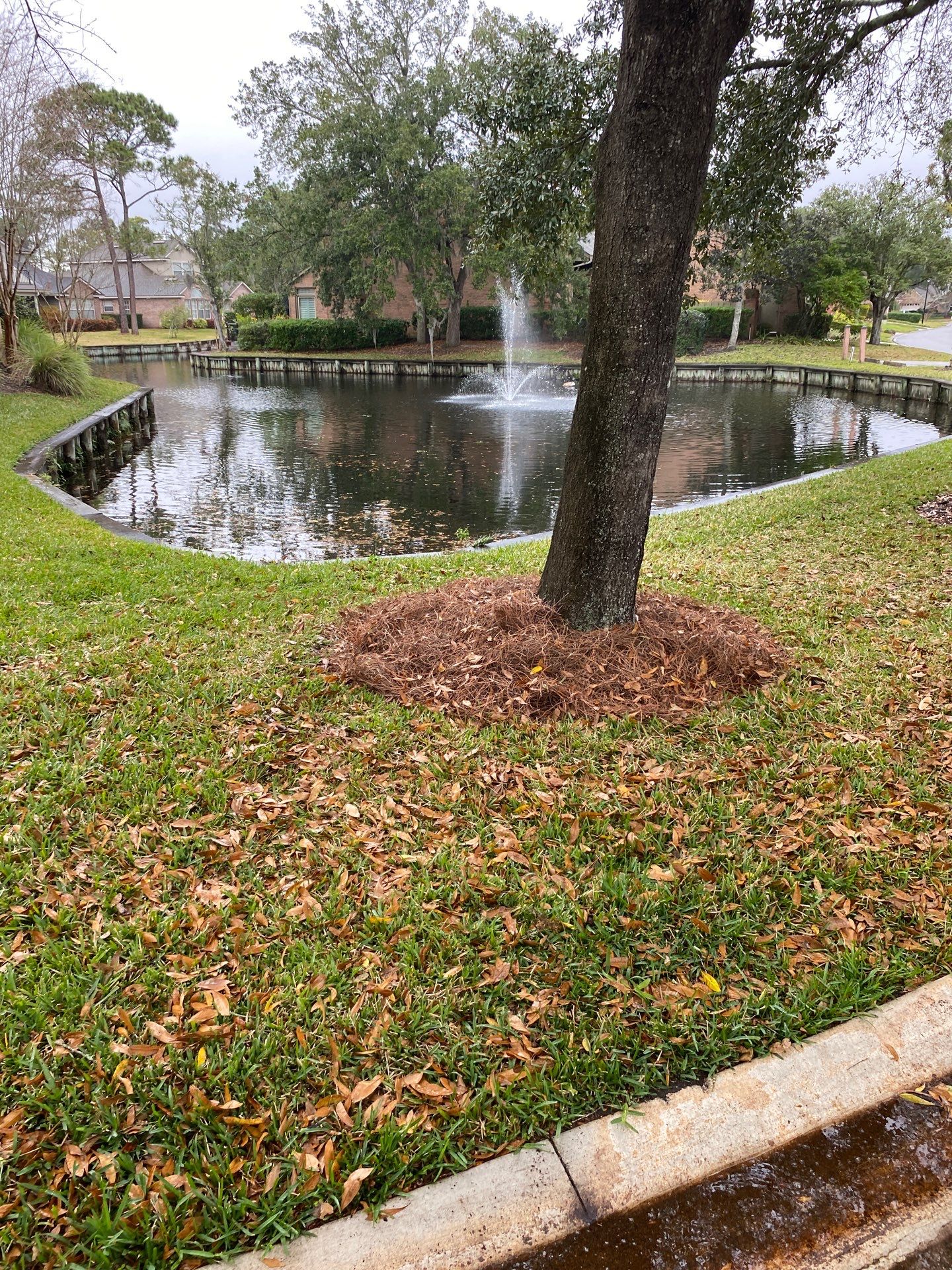 Deerwood Pointe | Tree Removal & Pine Straw Installation by ProGreen Services