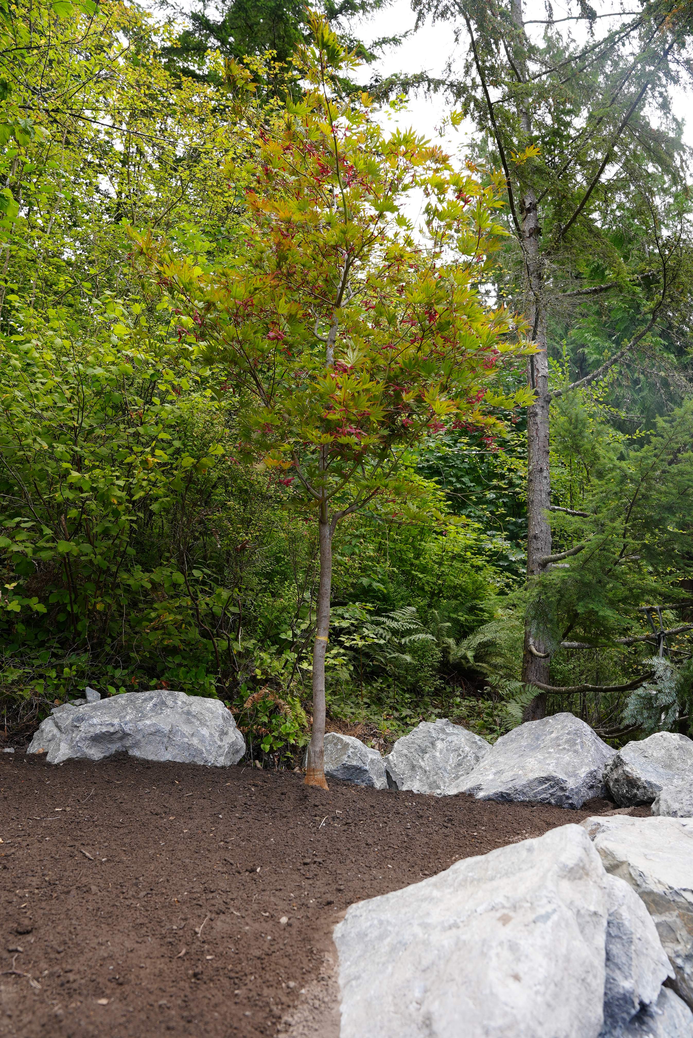 Jim | Rockery Wall, Landscaping, Road Repair & Sealcoating by Jireh Asphalt & Concrete Inc 