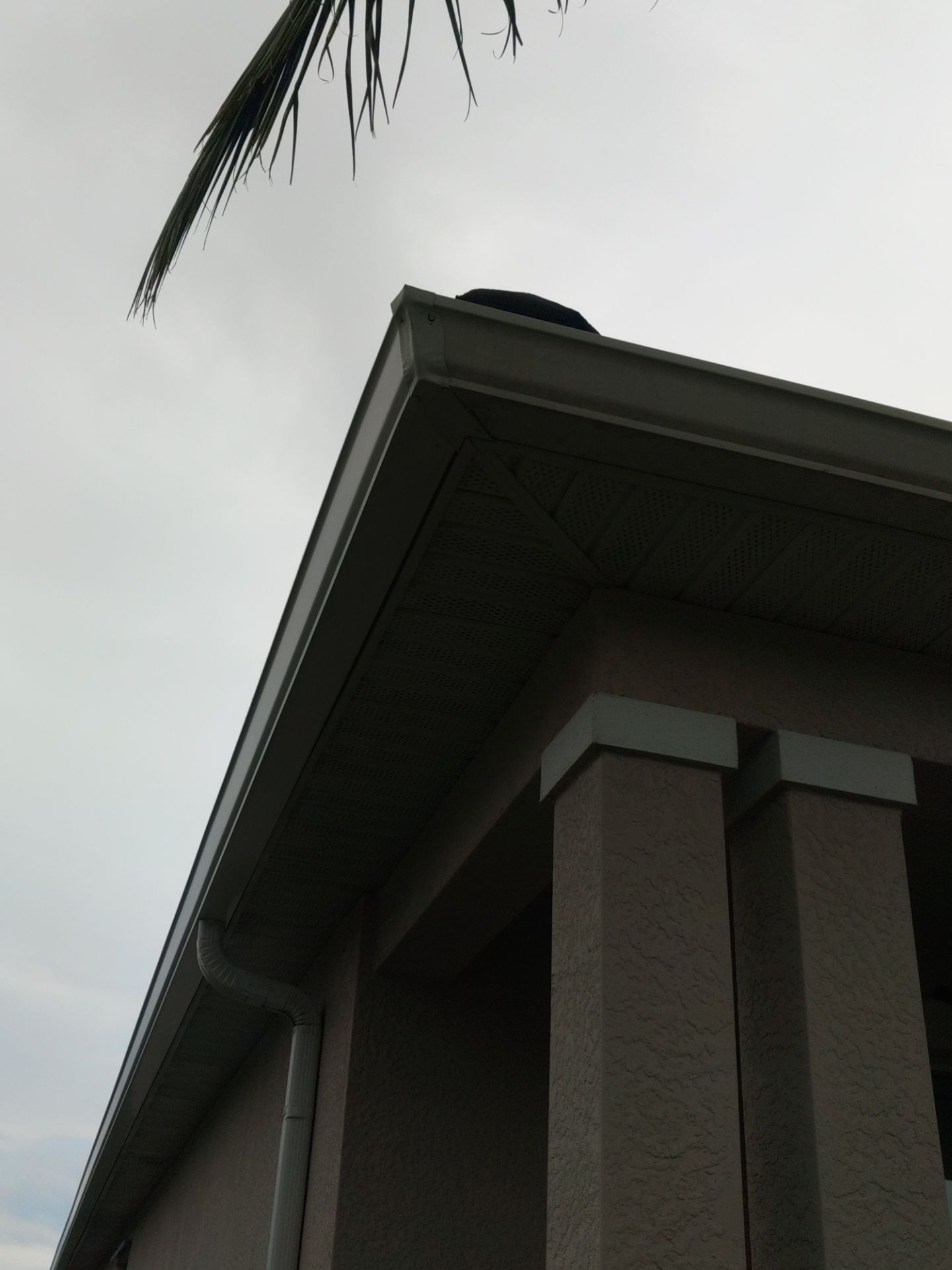 Downspout Extensions for Maximum Drainage in Fort Myers FL by Gutter Professors