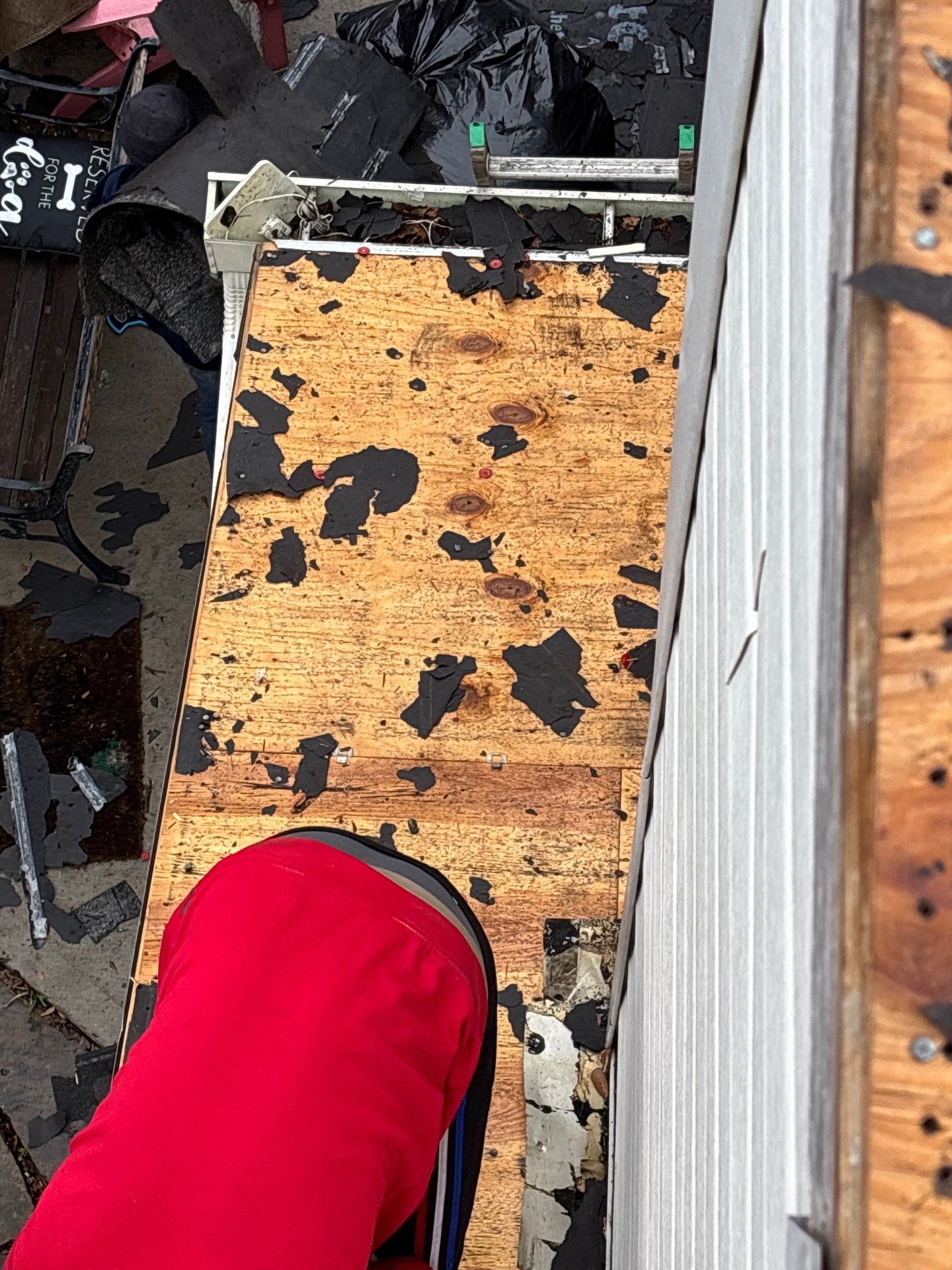 Roof Replacement Webster by Roof Repair Services LLC