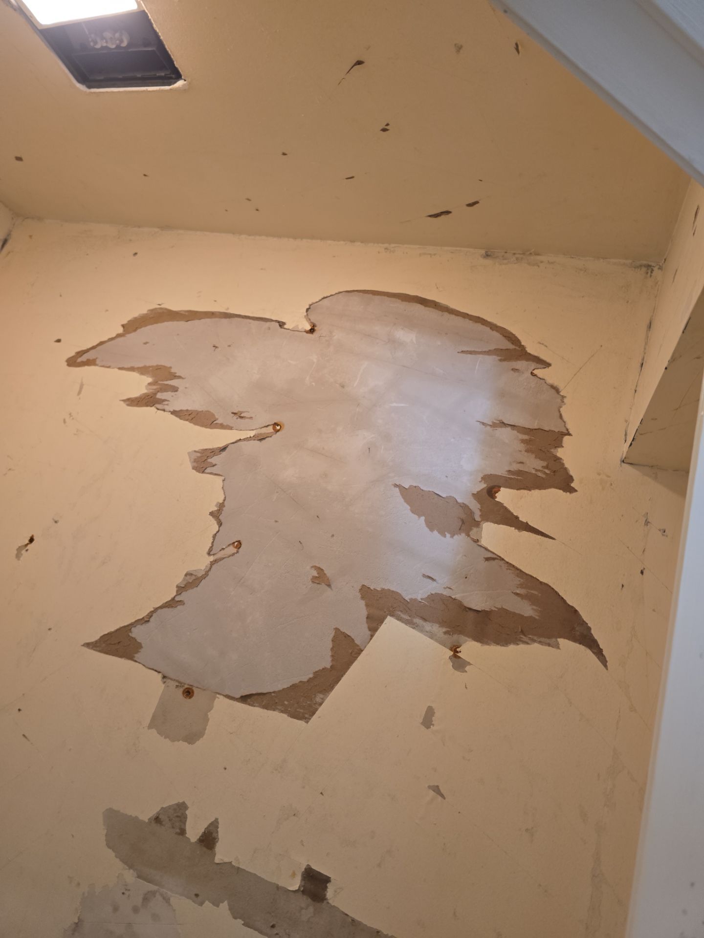 Wallpaper Removal / Interior Painting  by John “The Greek” Painting