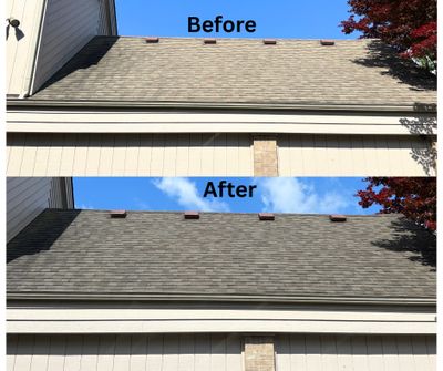 Roof Rejuvenation in West Bloomfield