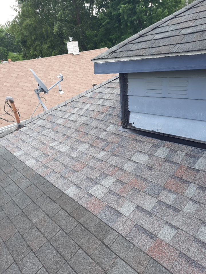 Corey Lowe by Silver Leaf Contracting 