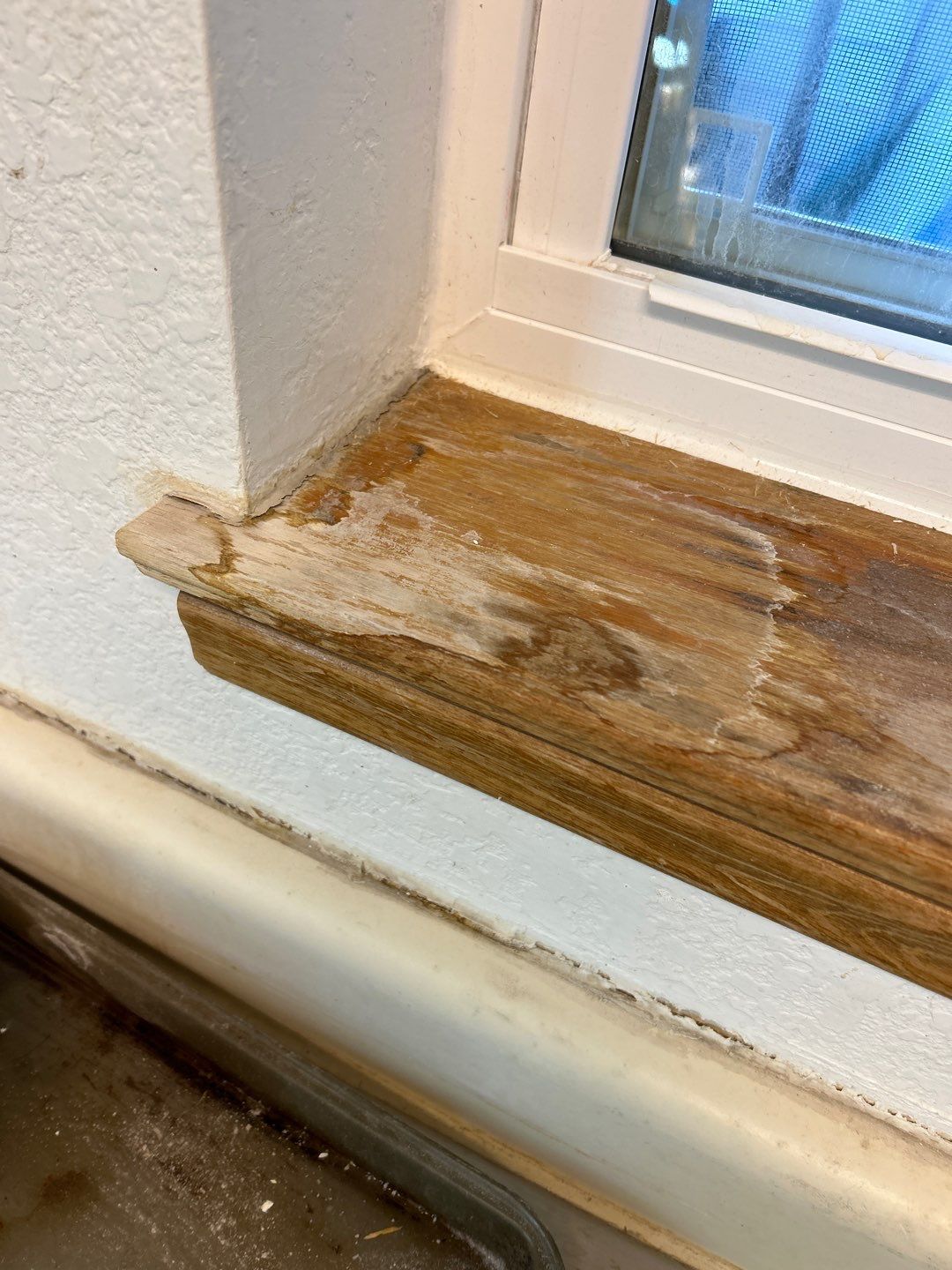 Water Damage by Accountable Home Services