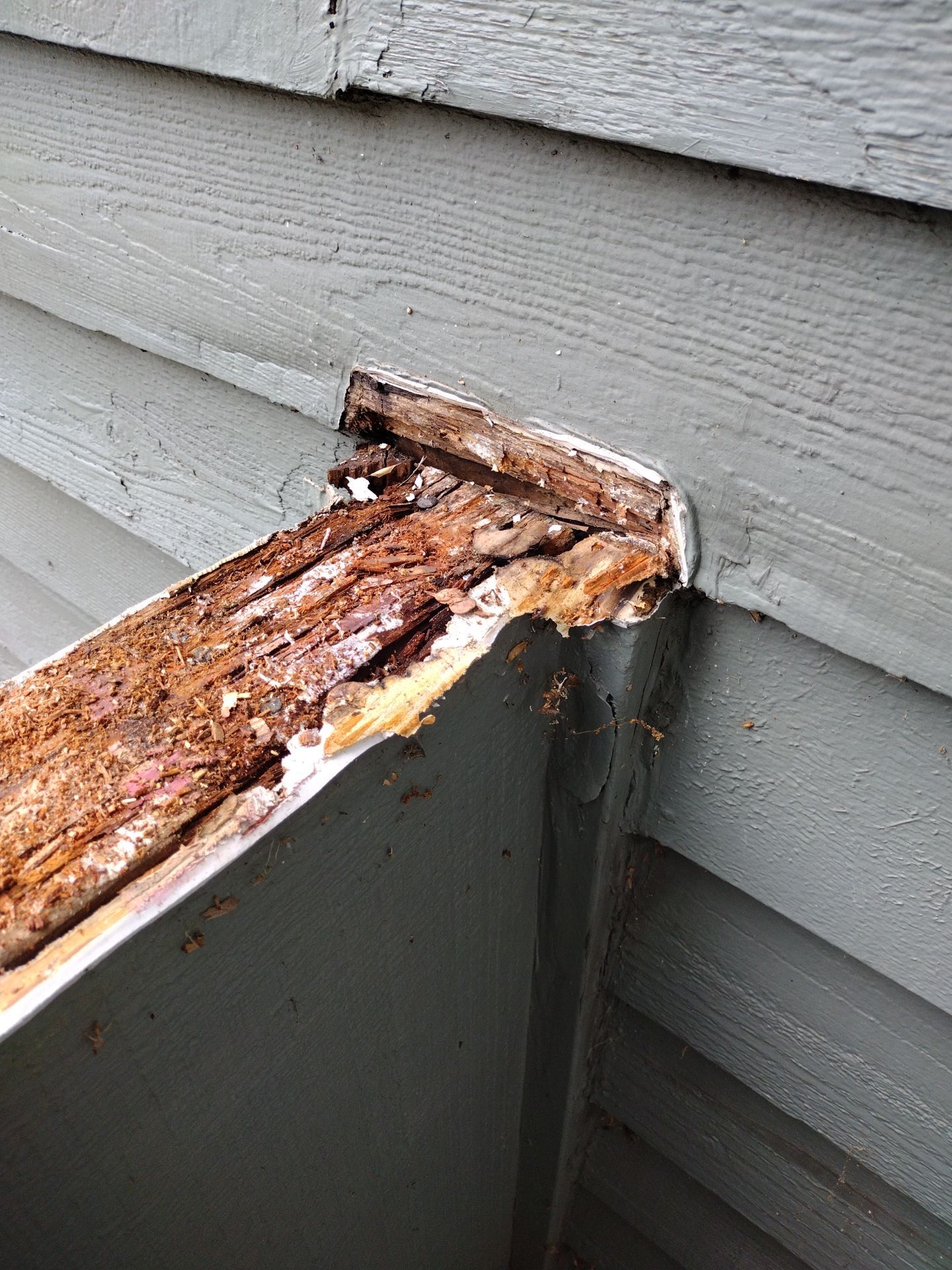 Residential Deck Replacement  using Certainteed Flintlastic SA Cap by Orezona Building & Roofing Company, Inc.