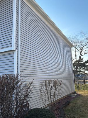 Project in Buffalo Grove