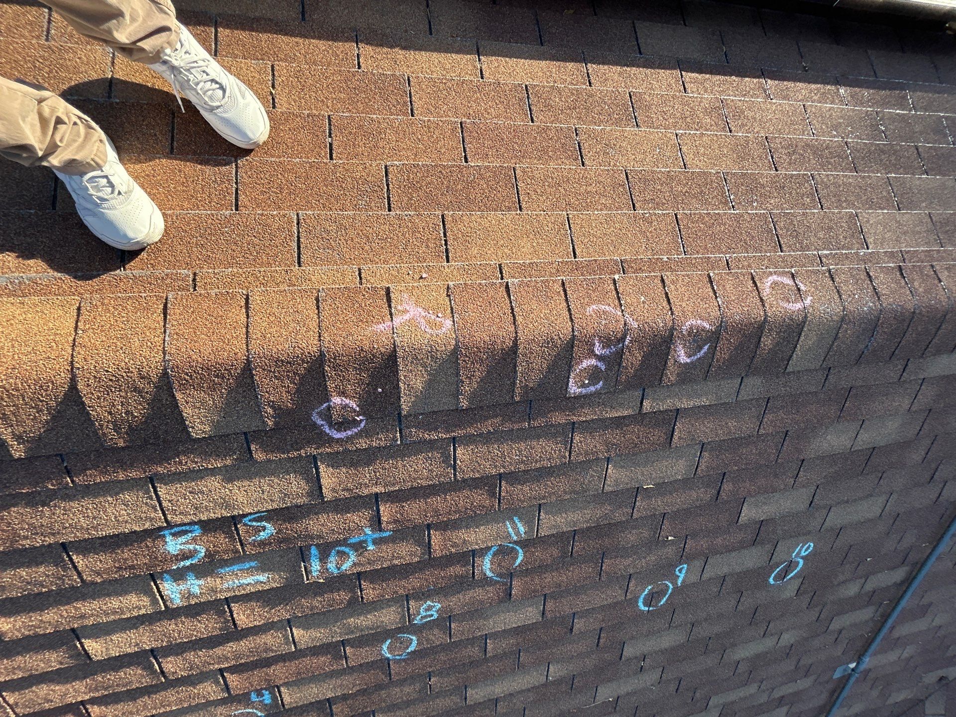 [Almost] All Trades by REPS OF TEXAS