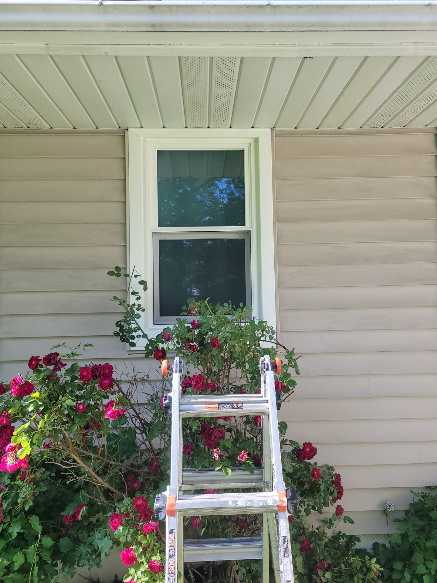 Jeannette Stewart by Silver Leaf Contracting 