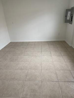 Project in Tampa