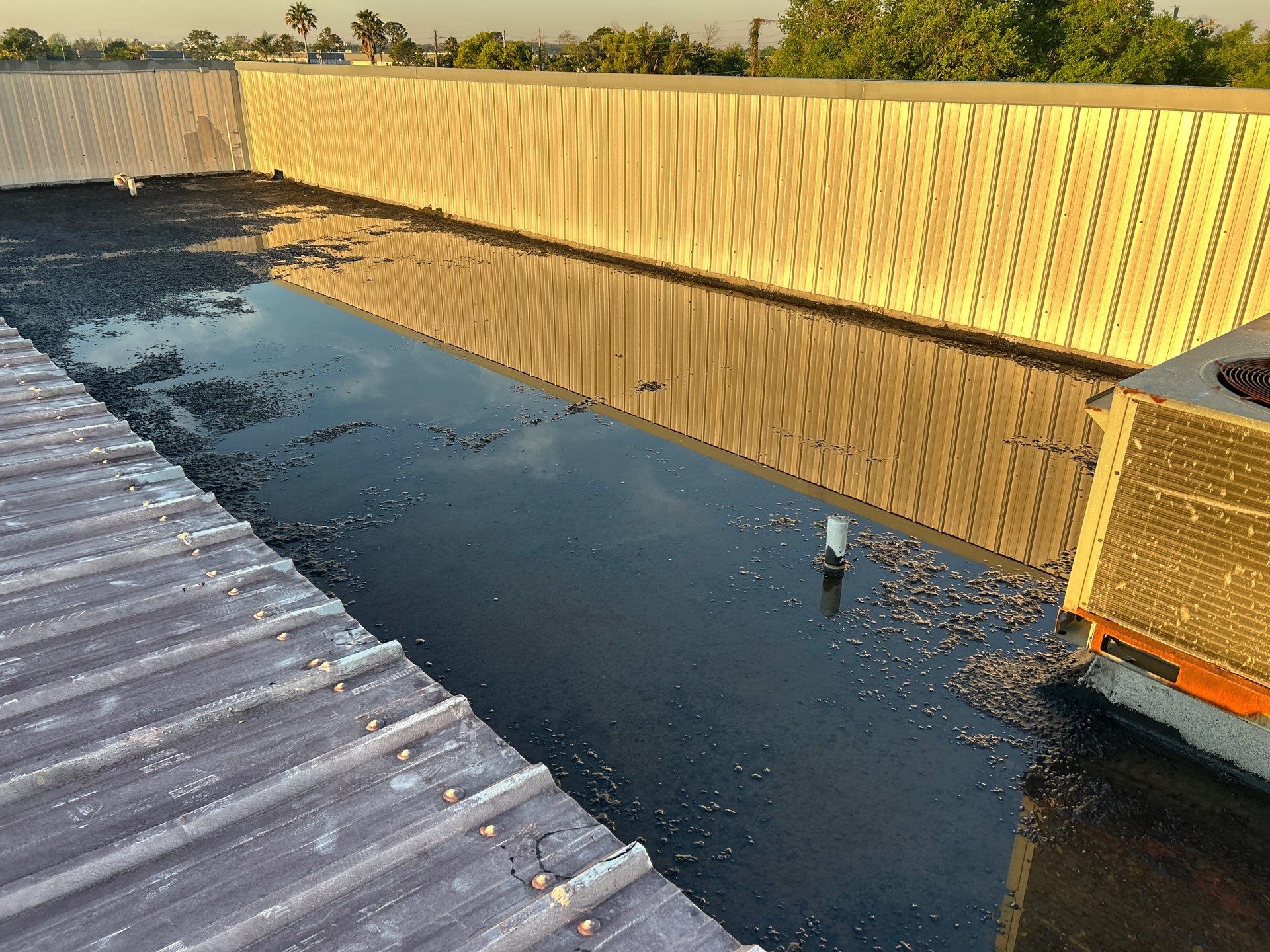 Bethel Temple of Jesus by Fiddlers Roofing