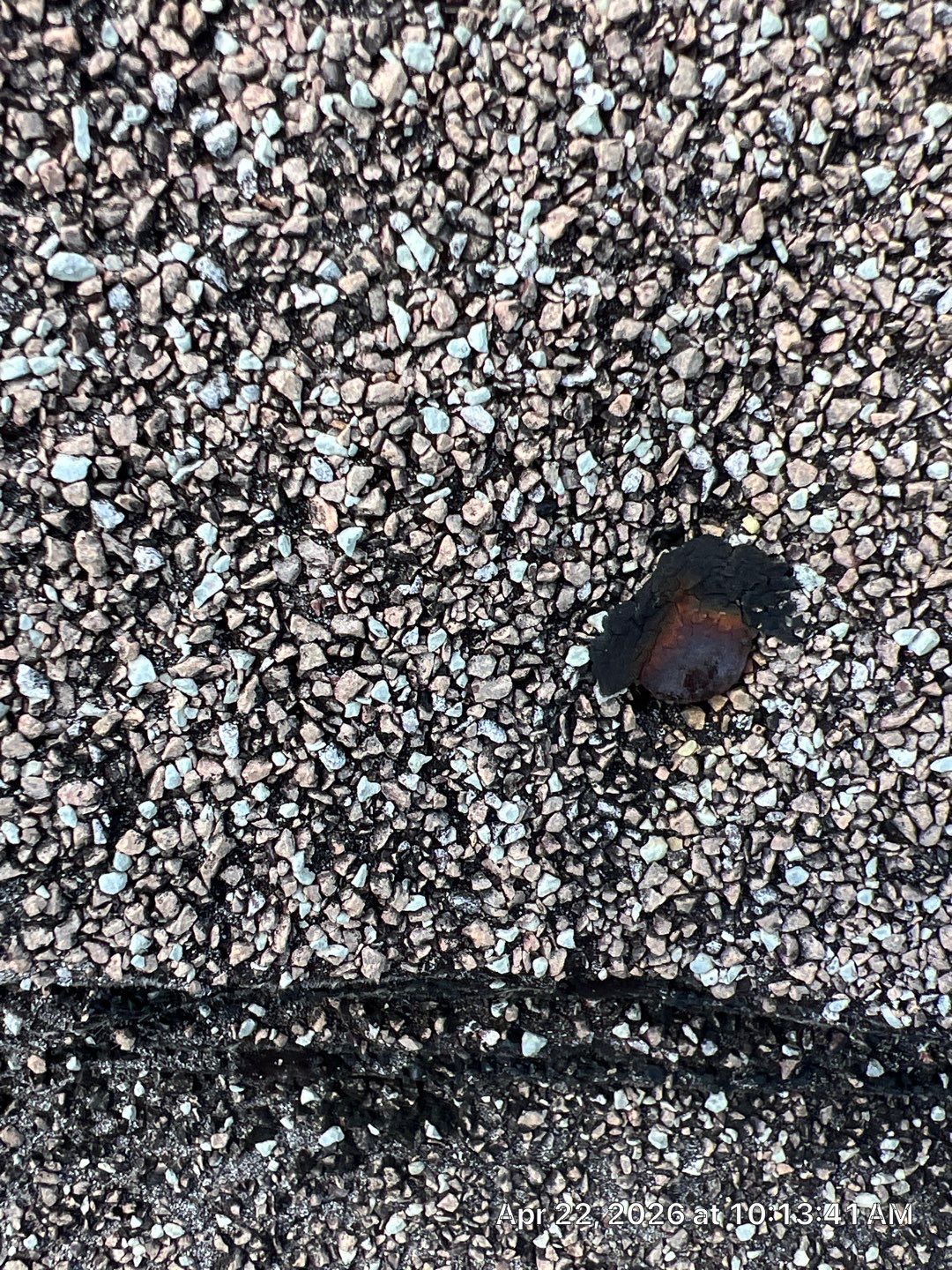 Asphalt Shingle Roof Repair and Maintenance in Greenacres by Aastro Roofing