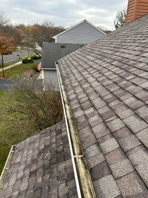 Latest photograph of the Turtle Shell installation in Aurora, IL 60502
