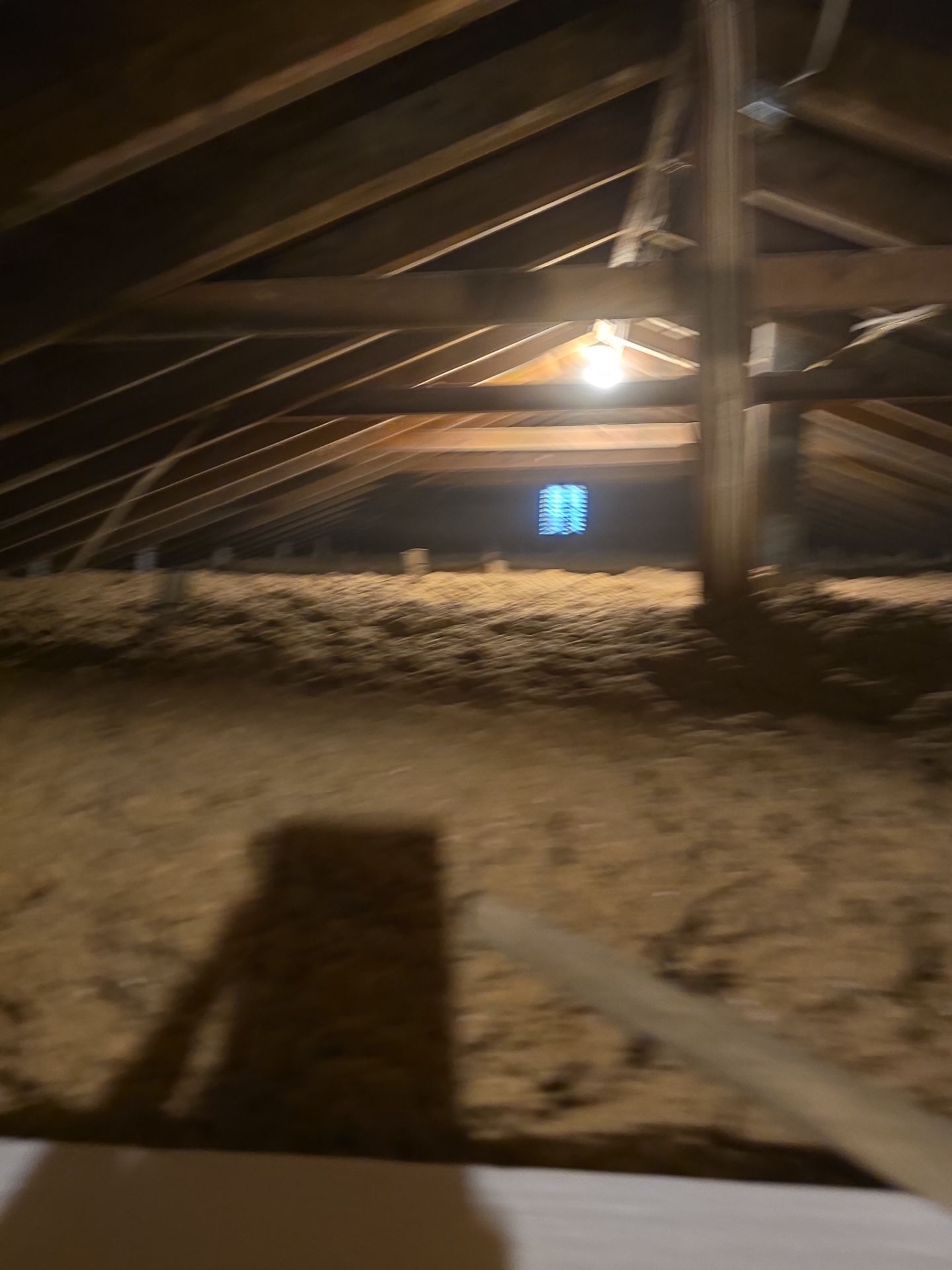 Attic Insulation using Green Fiber Sanctuary by NYS Foam & Energy