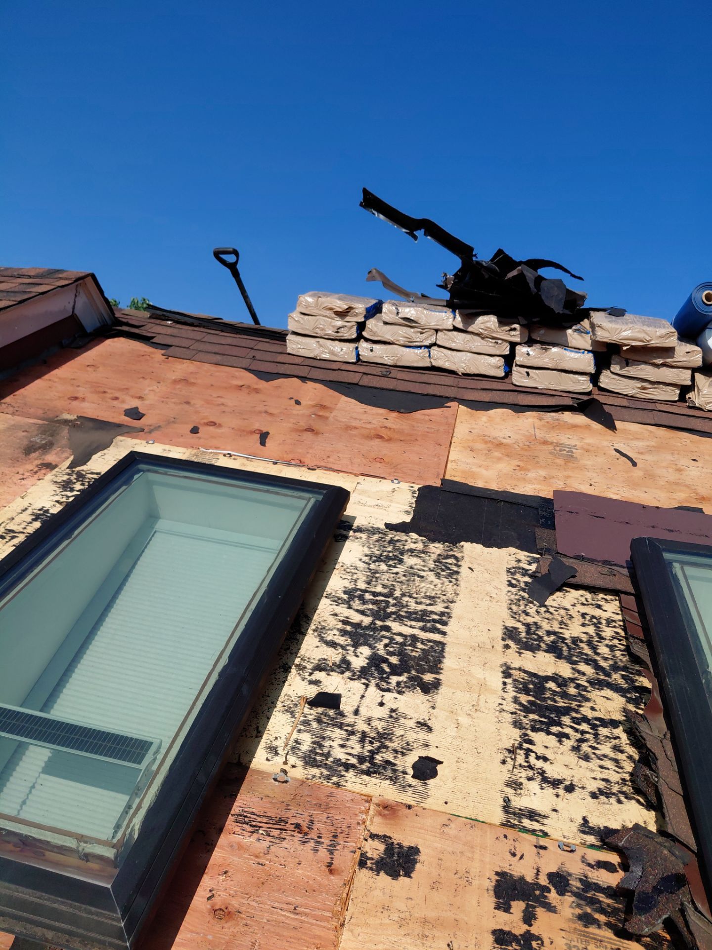 Alexandria: Residential Roof with CertainTeed Landmark Pro in Max Def Burnt Sienna by RM Banning, Inc.