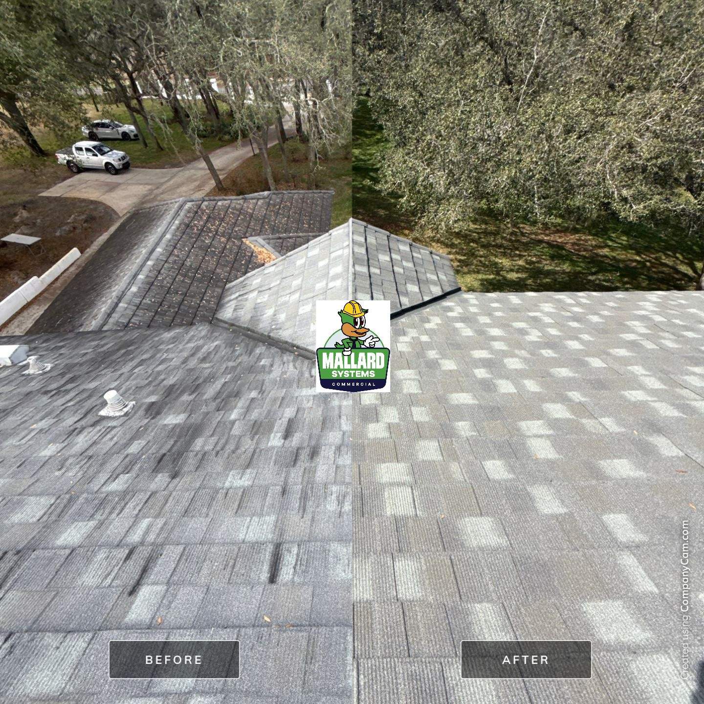 Stone-Coated Metal Roof Cleaning by Mallard Systems