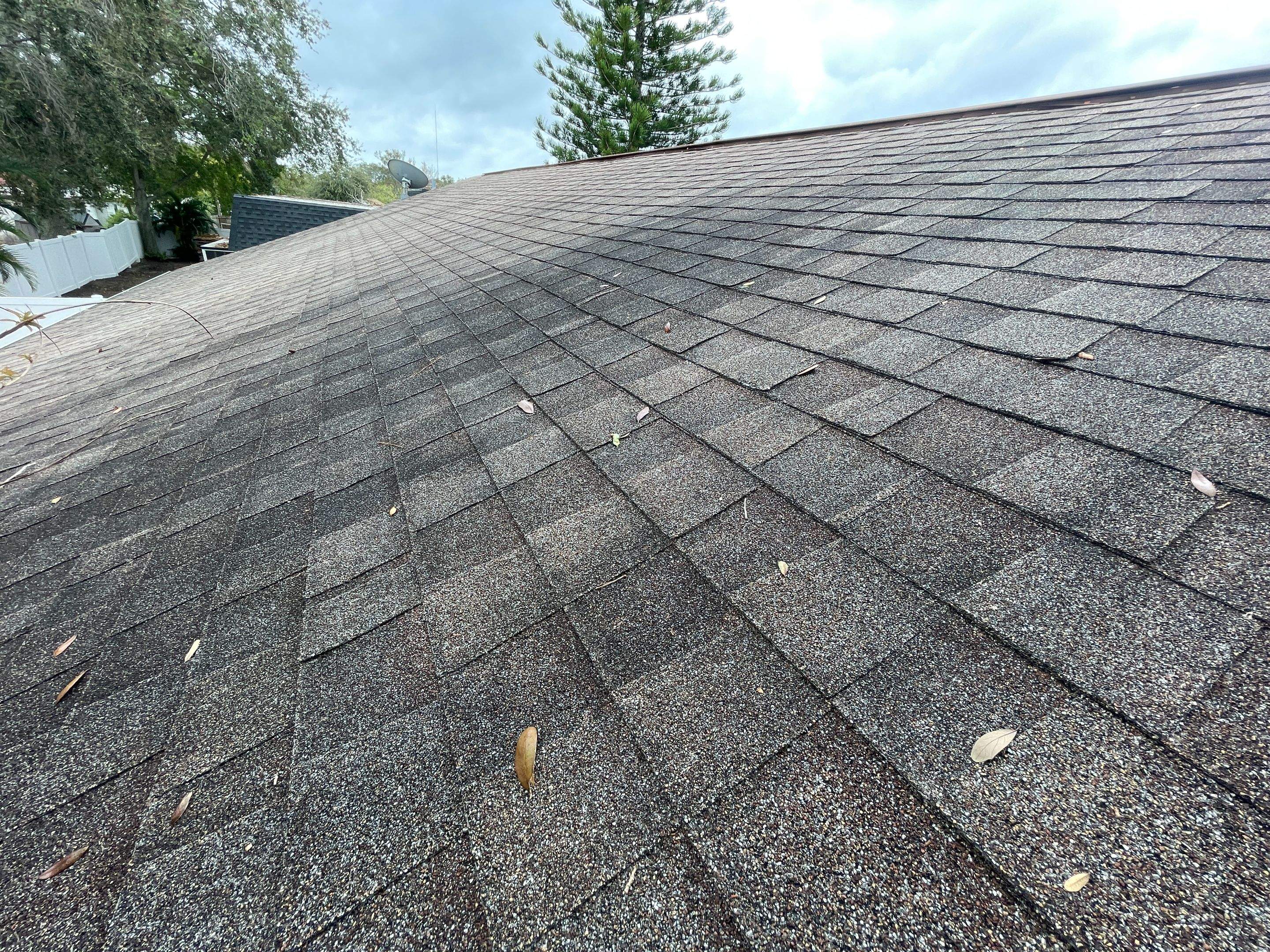 Water Damage Claim in Holiday by FLAPA & KeyStone