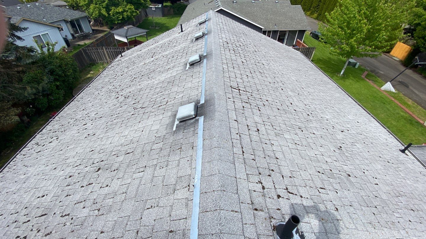 Estate Gray Shingles by Reimagine Roofing