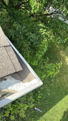 Latest photograph of the Turtle Shell installation in Elgin, IL 60123