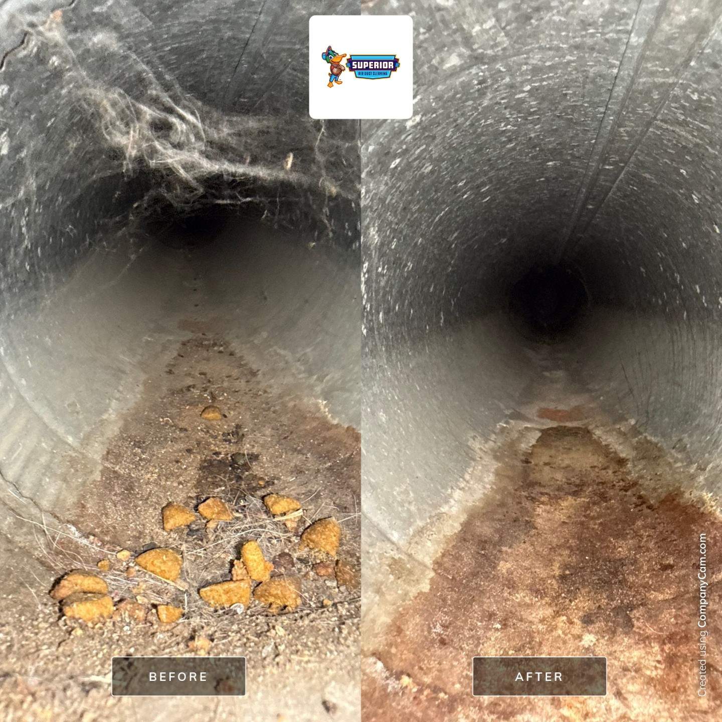 Air Duct Cleaning in Ellwood City, PA by Superior Air Duct Cleaning