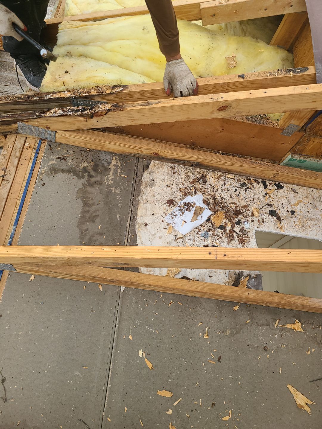 Falls Church: Residential Roof Replacement with CertainTeed Landmark Pro in Max Def Colonial Slate by RM Banning, Inc.