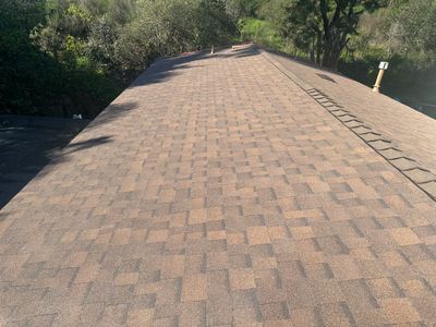 Roof Replacement - Oakland, CA 94602