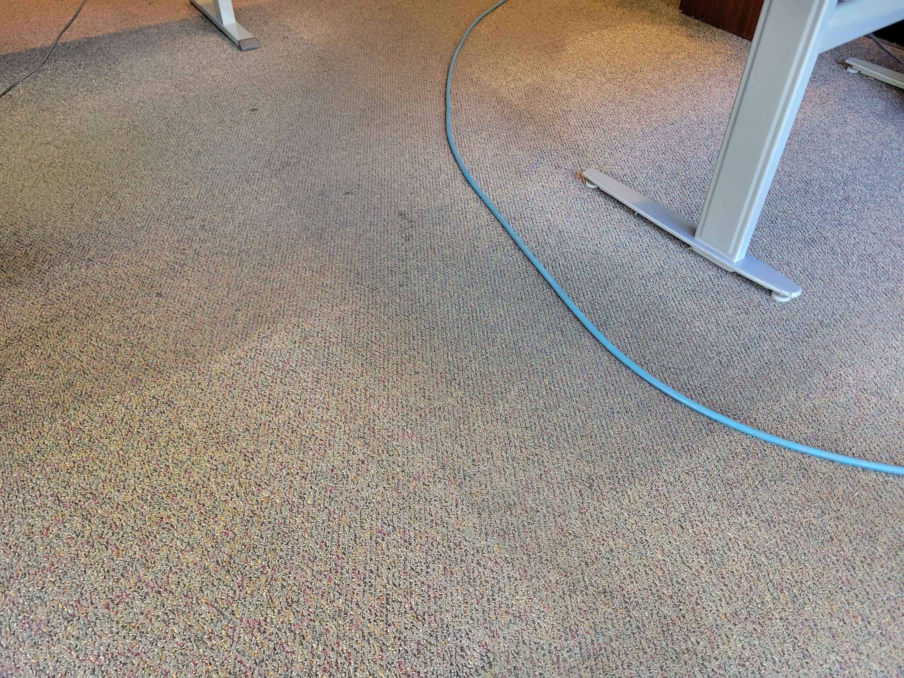 Carpet Cleaning of Commercial Offices by Ardent Carpet Restore LLC