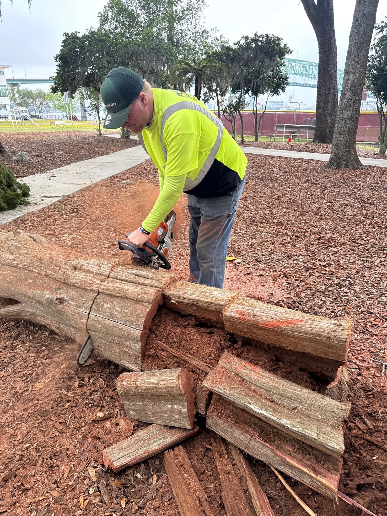 Episcopal School of Jacksonville | Tree Service by ProGreen Services