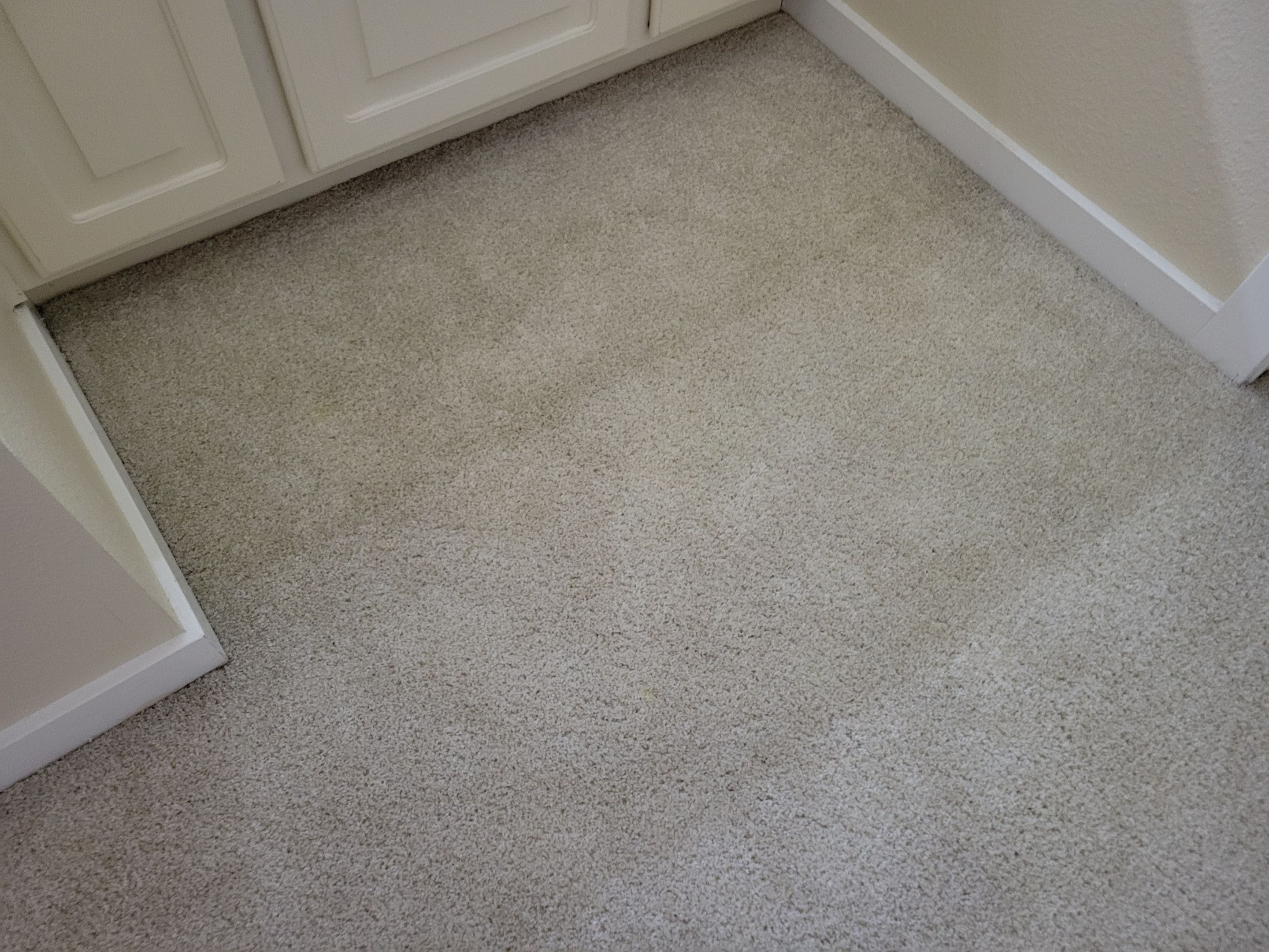 Investment Property, Carpet Cleaning by Ardent Carpet Restore LLC