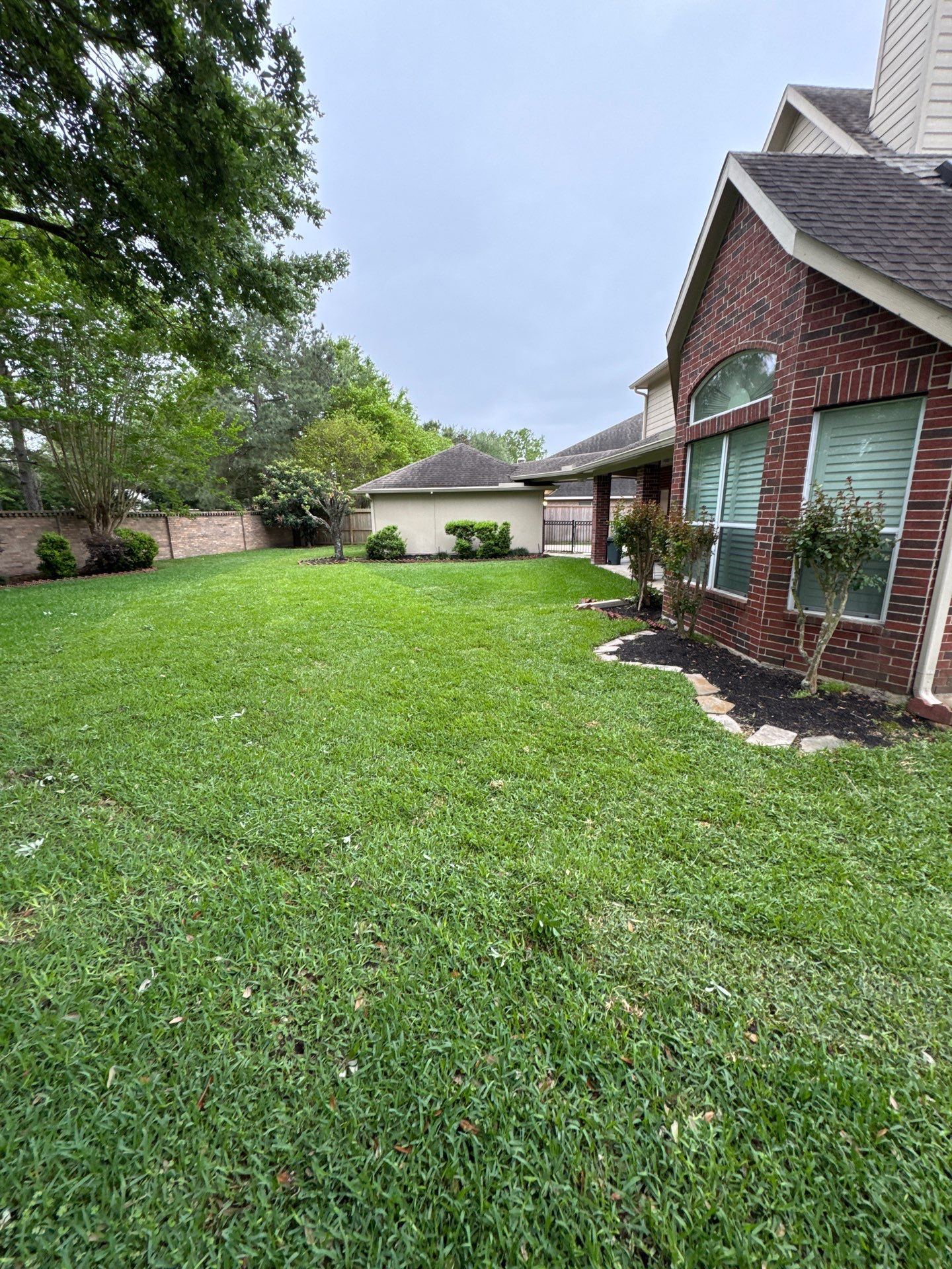 🌿 Mrs. Coleman’s Lawn & Drainage Restoration by Texas Urban Elements