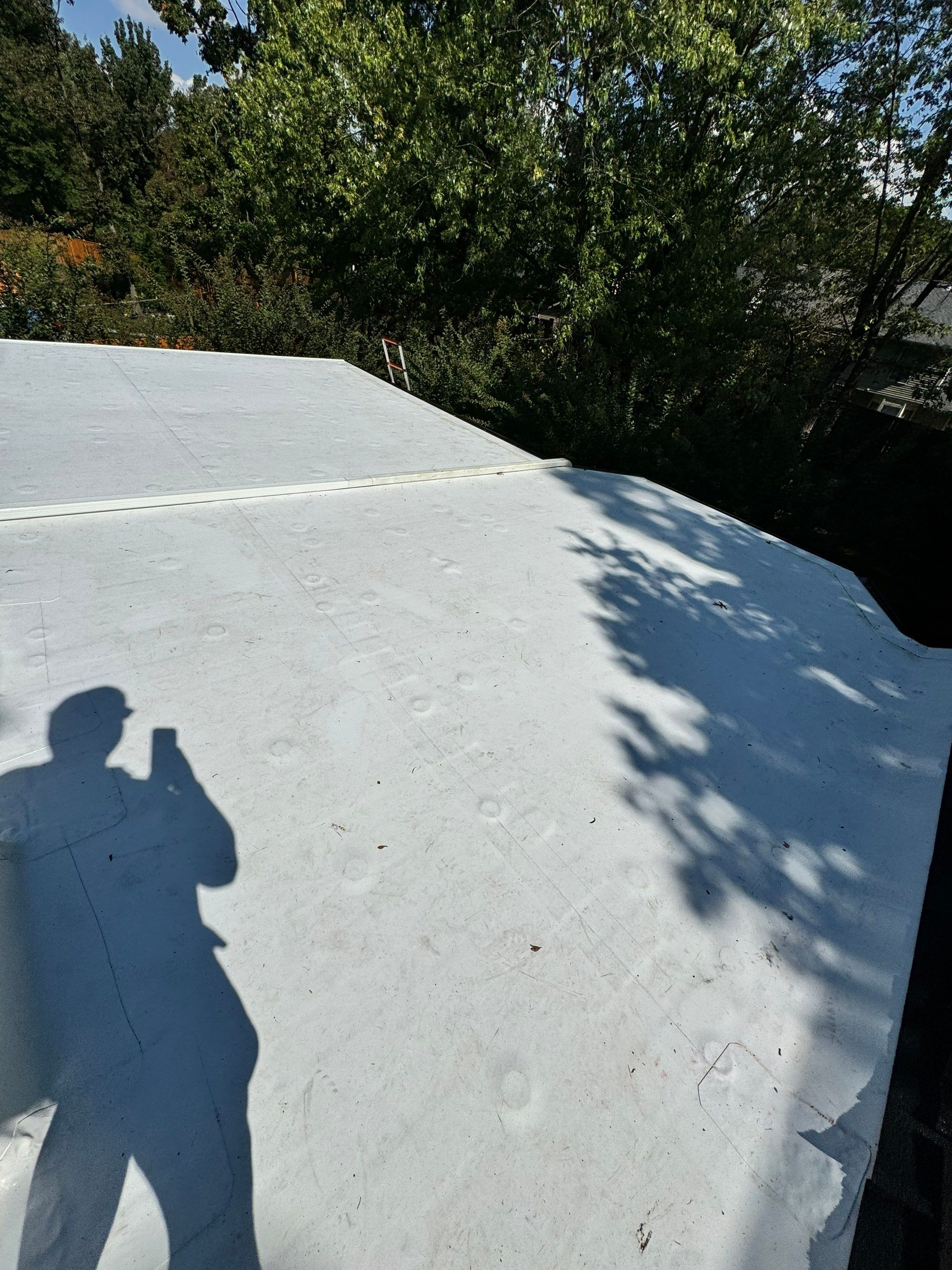 Alexandria: Residential Flat Roof Replacement with MuleHide TPO by RM Banning, Inc.