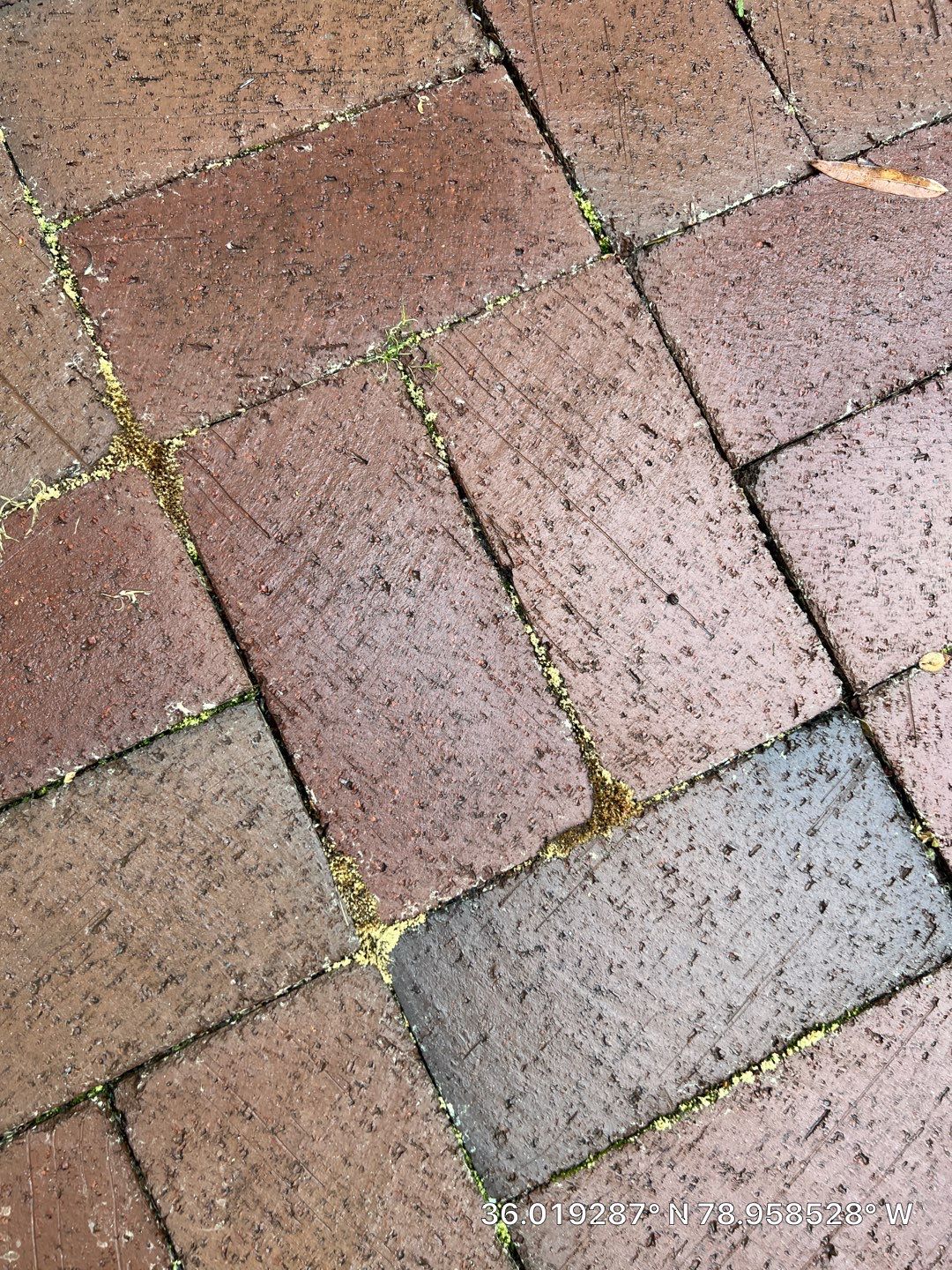 Stamped Concrete using AcryFin by DuraSeal