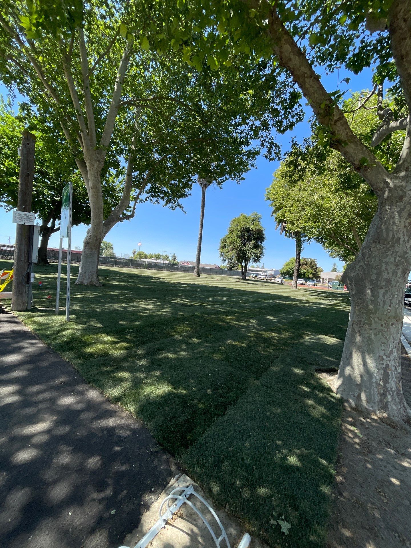 Project in Escalon by A - G Sod Farms
