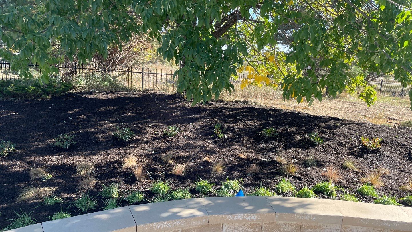 Landscape Bed Updates. by New Horizon Landscapes