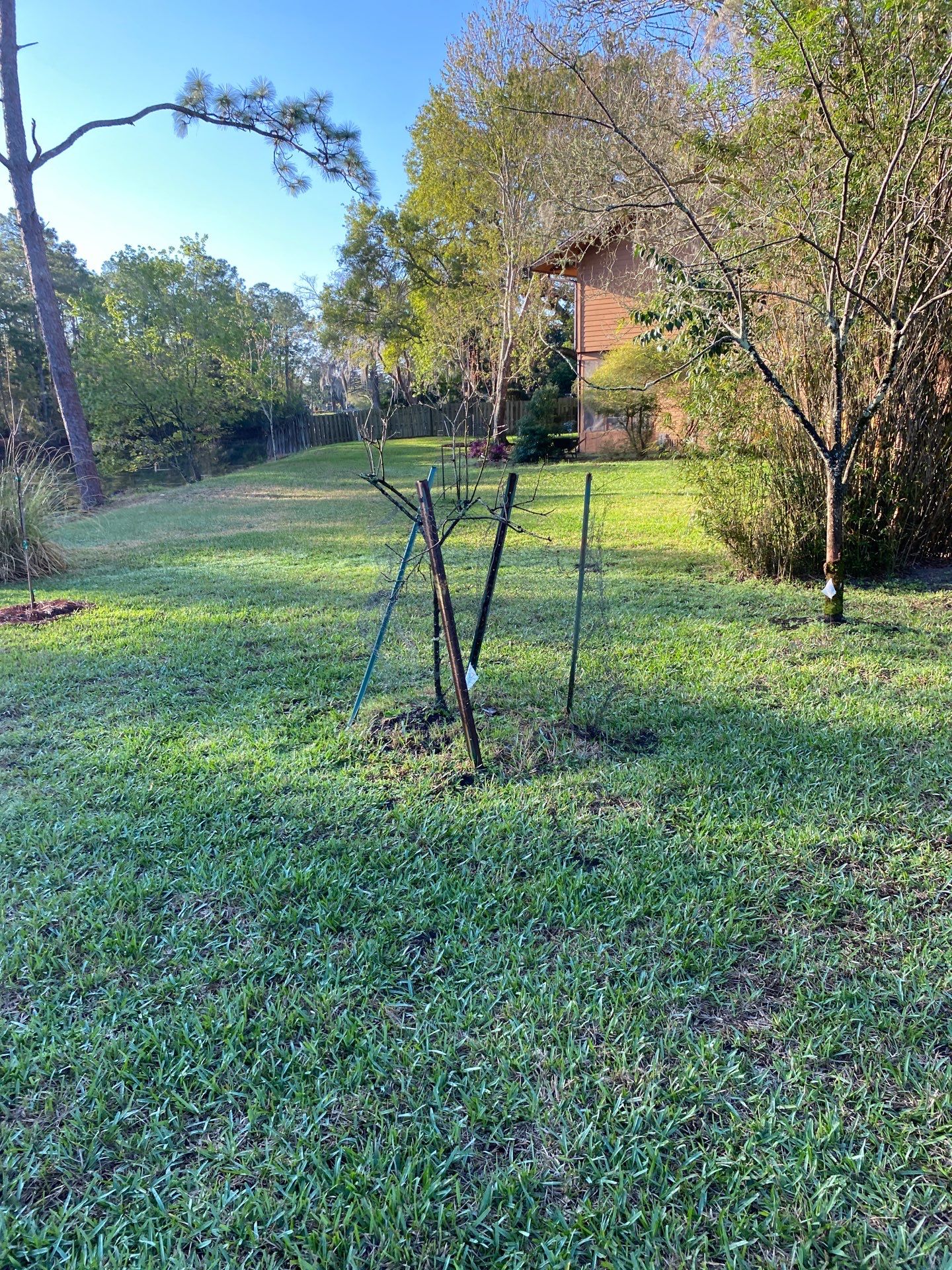 Deerwood Resident | Landscaping by ProGreen Services