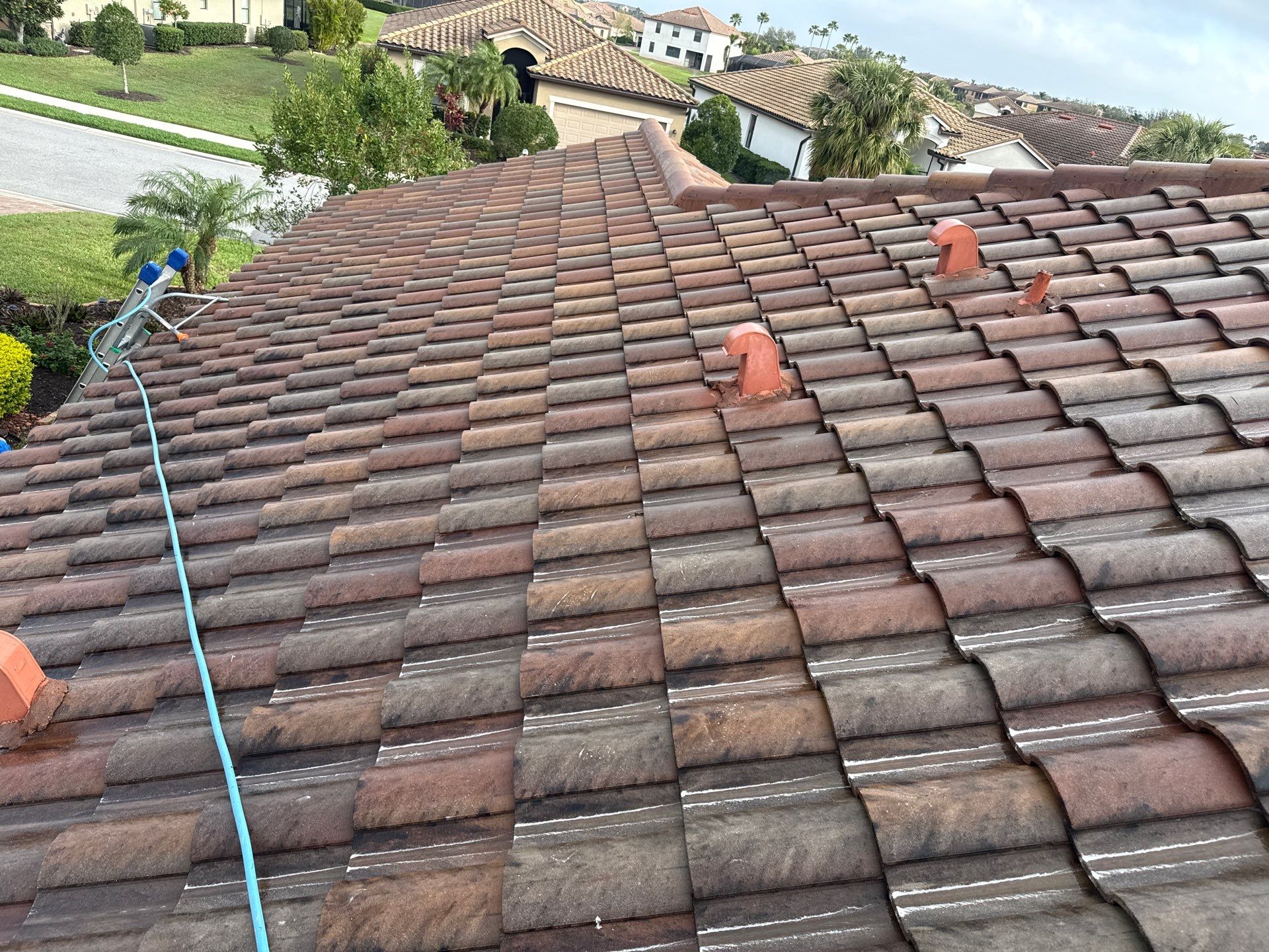 Paver Pool Deck, Driveway & Concrete Tile Roof Cleaning in River Strand, Bradenton, FL | Sunshine AquaWash by Sunshine AquaWash