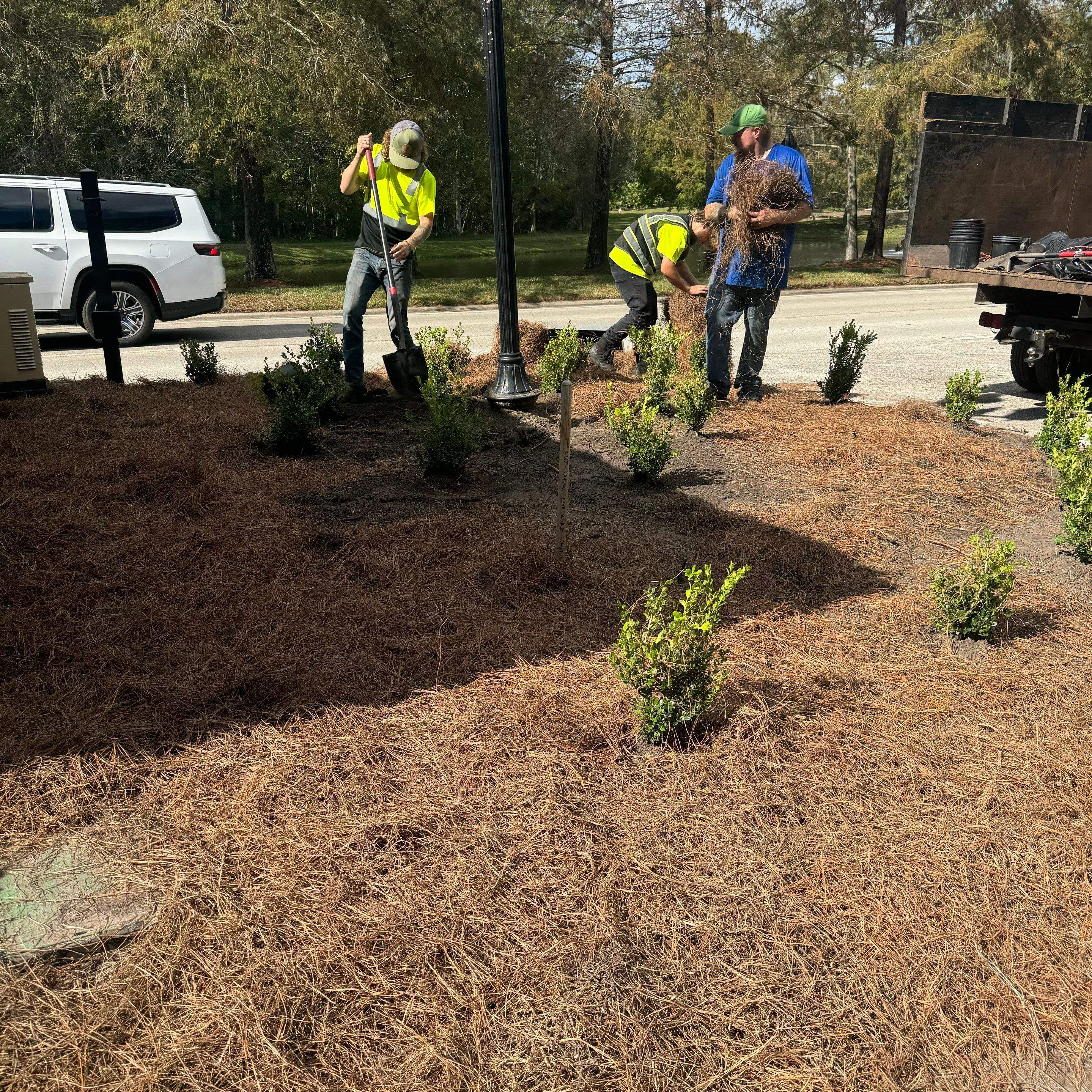 Main Gate Landscaping Project | Deerwood Community by ProGreen Services