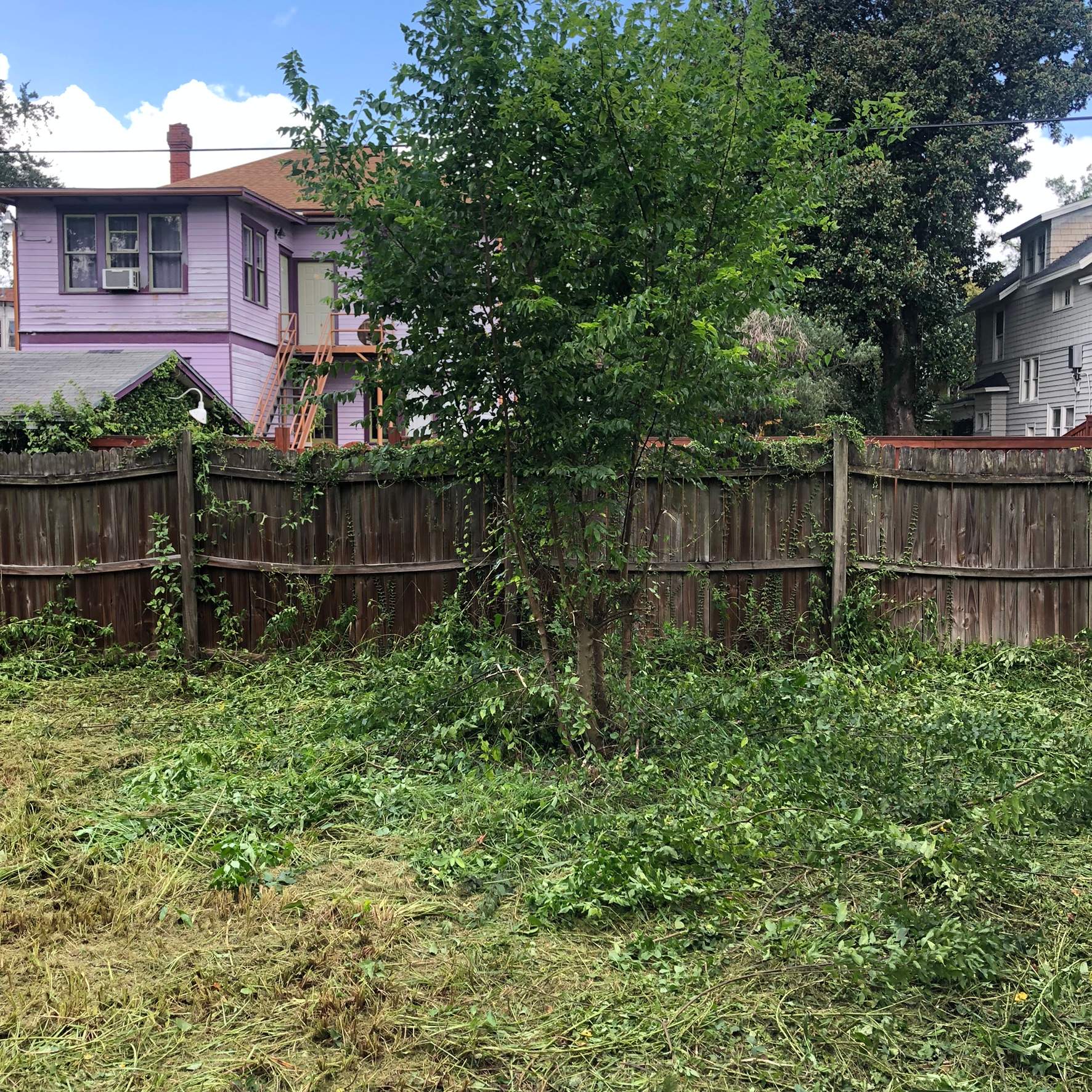 Extreme Clean Up | Riverside Area by ProGreen Services